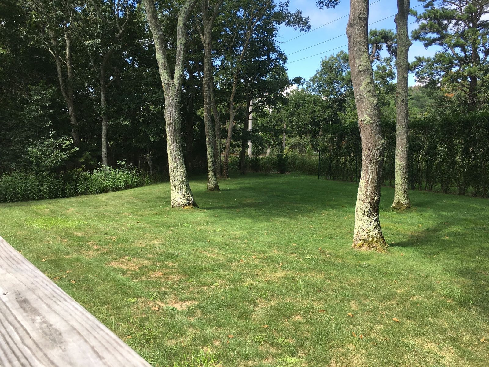Property in Quogue Out East