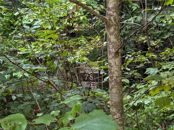 0 Antler Dr Lot 78, Mc Grady, NC 28649