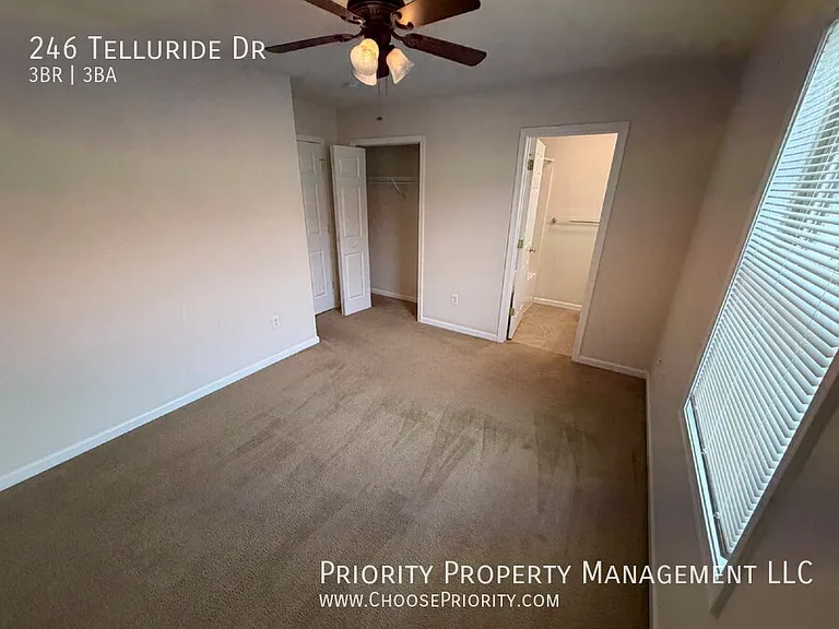 246 Telluride Dr — Photo 11