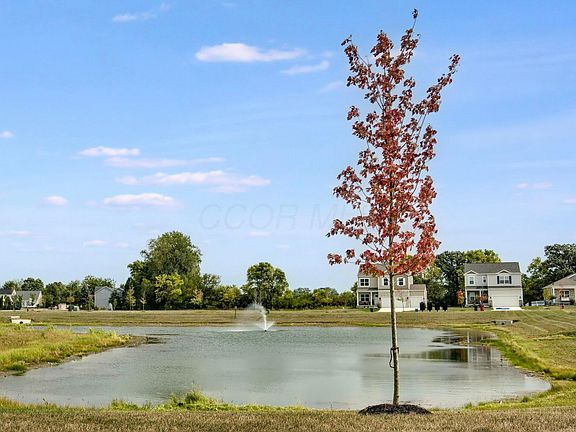 7th image of this home