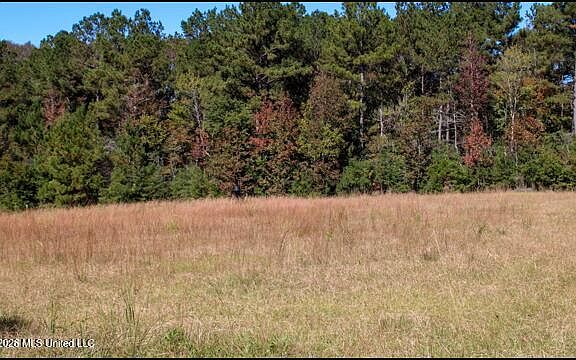 5th image of 1 Gibson Rd
