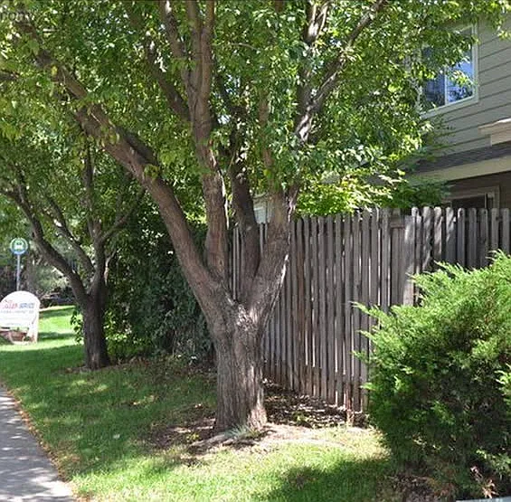 4 bed, 3.5 bath, 2000 sqft, $2,500 — Photo 4