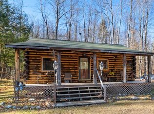 15792 Wild Life Rd, Wolverine, MI 49799