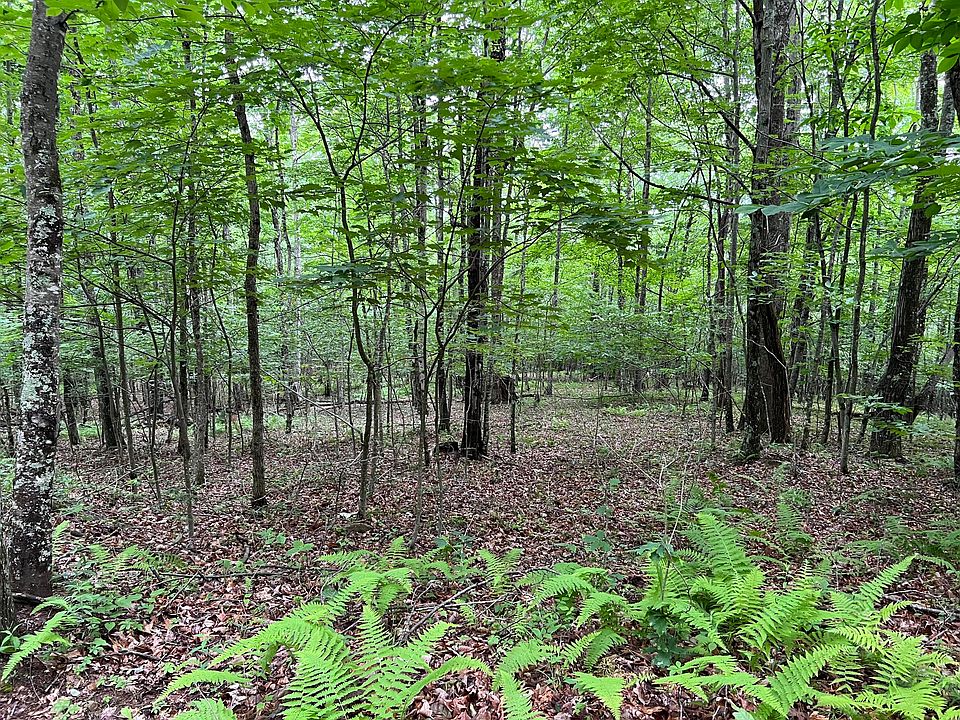 Lobelia Rd, Hillsboro, WV 24946 Zillow