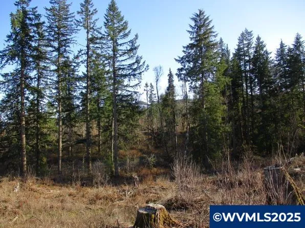 0 Abiqua Dam Rd, Silverton, OR 97381