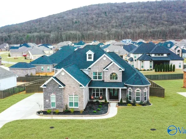 8203 Goose Ridge Dr, Owens Cross Roads, AL 35763