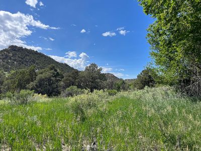Willow St, Trinidad, CO, 81082