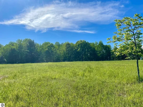 13257 Deerpath Ln, Rapid City, MI 49676