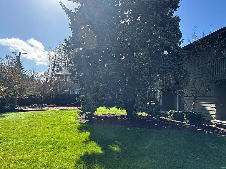 The Firs — Photo 7