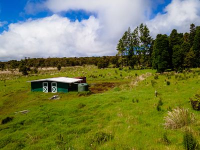 S Glenwood Rd, Volcano, HI, 96785