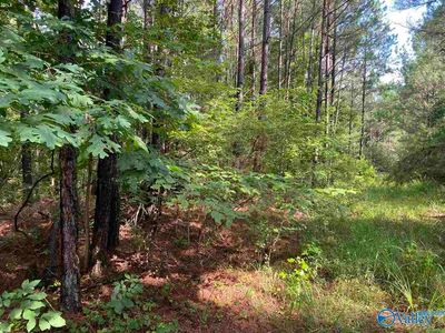 Sandoak Rd, Hamilton, AL, 35570