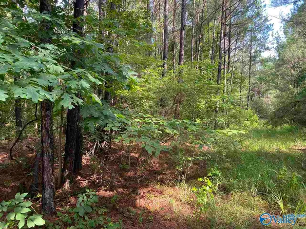 Sandoak Rd, Hamilton, AL 35570