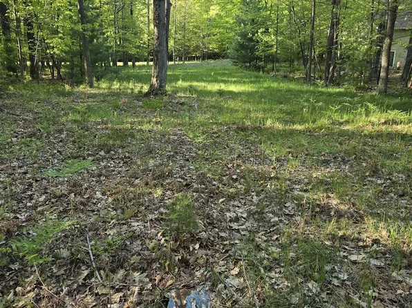 5 & 14 N Ridge Rd, Mears, MI 49436