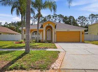 15511 Montilla Loop, Tampa, FL 33625