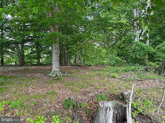 3rd image of 79 Horse Trail Ln