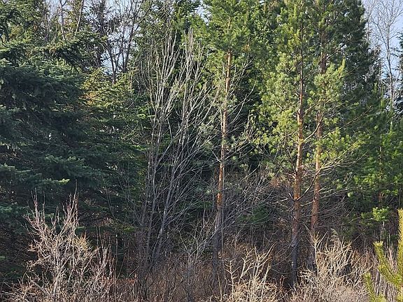 2nd image of 0 County Road 19 SE