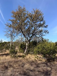 180 Landmark Rd, Kerrville, TX, 78028