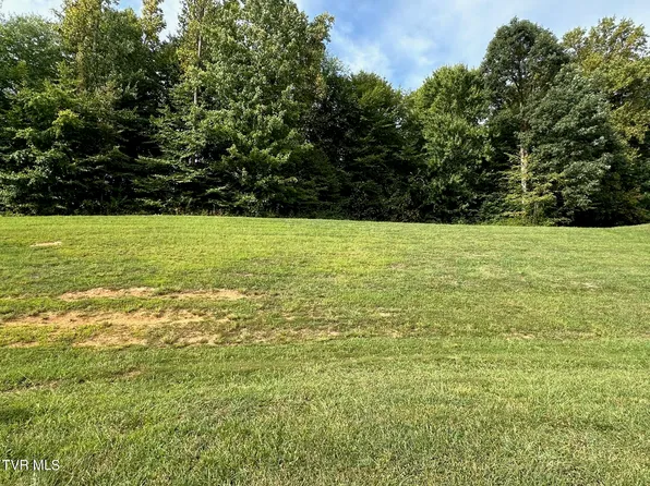 6 Momma Lou Ct, Jonesborough, TN 37659