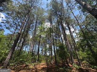 850 Buttermilk Rd, Sylvania, GA 30467