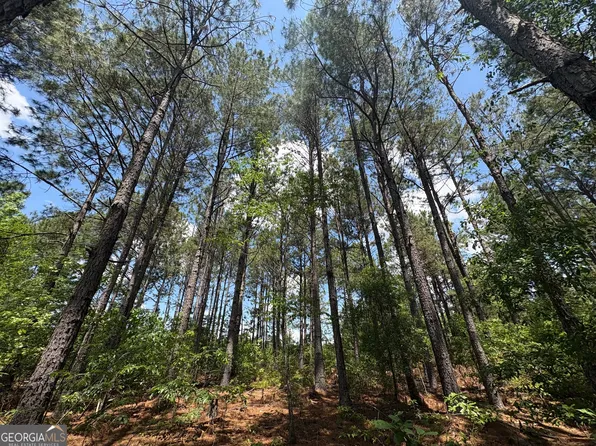 850 Buttermilk Rd, Sylvania, GA 30467