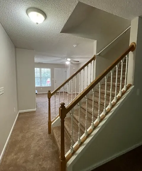 205 Birch Ln — Photo 5