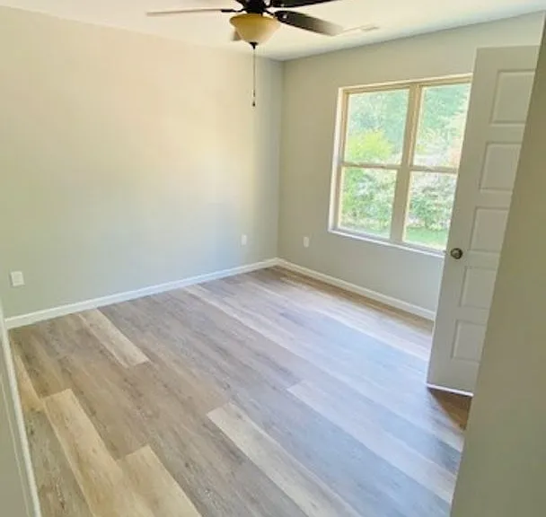 227 County Road 464 — Photo 6