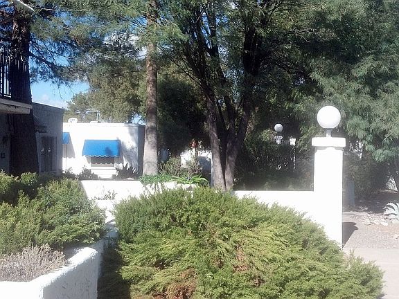 Mature trees on the grounds