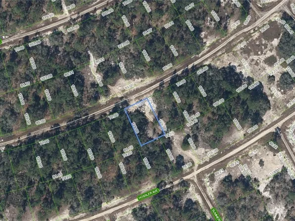 393 Stardust Ave, Lake Placid, FL 33852