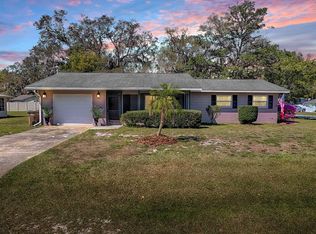 481 Belle Ayre Dr, Mount Dora, FL 32757