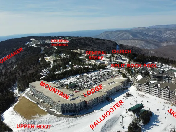 366 Mountain Ldg, Snowshoe, WV 26209