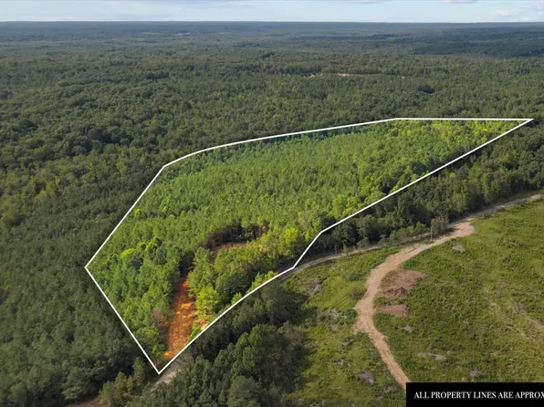 0 Eden Farm Rd Lot 1, Camden, TN 38320