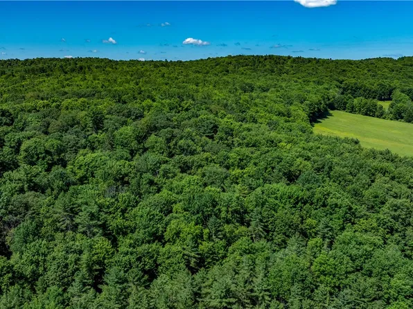 Lower Ravine Rd #4, Norwich, NY 13815