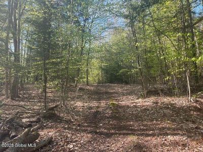 L12 Adirondack Heights Road Lot #6, Chestertown, NY, 12817