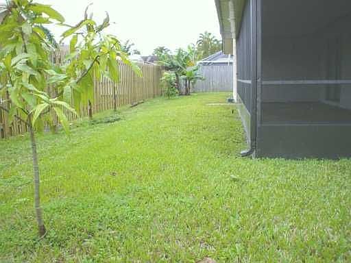 back yard/patio