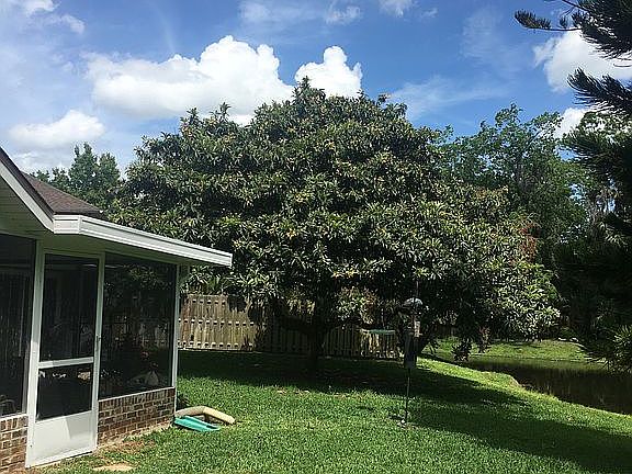 4th image of 23 Queen Ann Ct