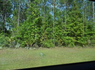 2325 Cosmos Ave, Middleburg, FL 32068