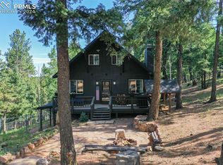 377 Ridge Rd, Divide, CO 80814