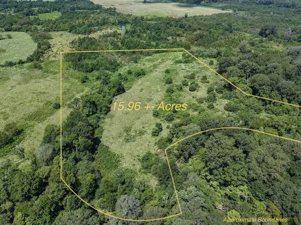 TRACT Four County Rd #765, Douglass, TX 75964
