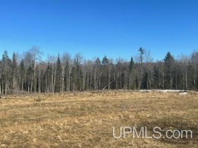 Buntrock Rd, Iron River, MI, 49935