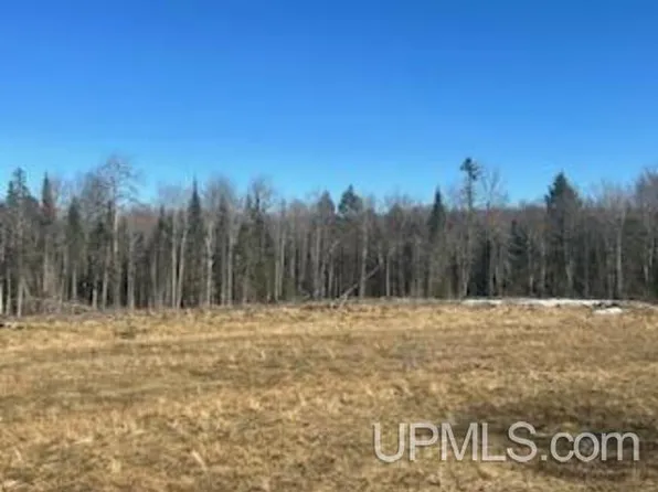 Buntrock Rd, Iron River, MI 49935
