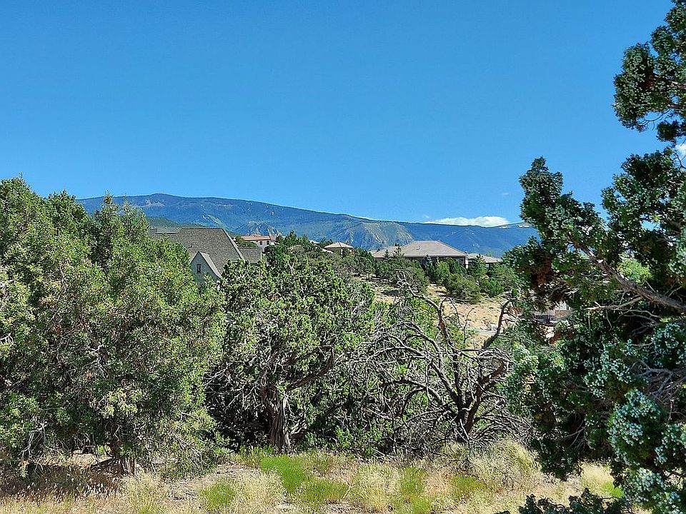 Trees and Mountains to East