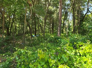 SE 284th Ct LOT 4, Umatilla, FL 32784