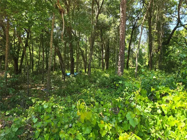 SE 284TH COURT LOT 4, UMATILLA, FL 32784