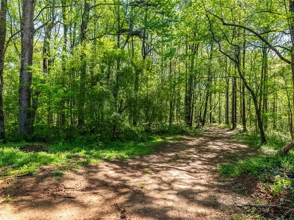 422 Old Orange Mill Rd, Canton, GA 30115