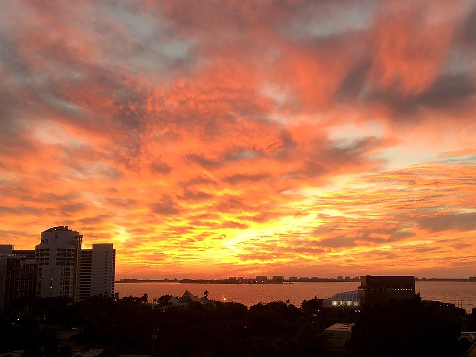 1st image of 800 N Tamiami Trl Unit 709
