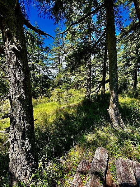 5th image of 0 Salmonberry Lane