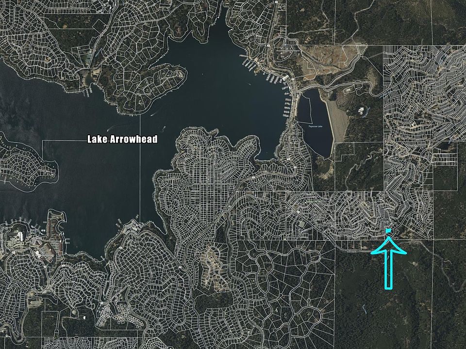 2nd image of Pine Dr