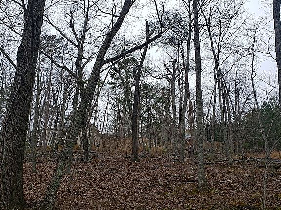 5th image of 946 Lake Arrowhead Dr