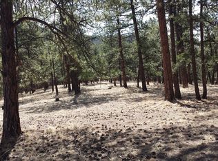 658 Buddy Rd, Bailey, CO 80421