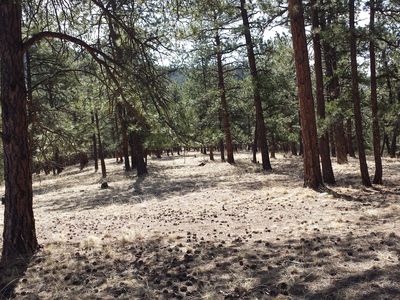 658 Buddy Rd, Bailey, CO, 80421
